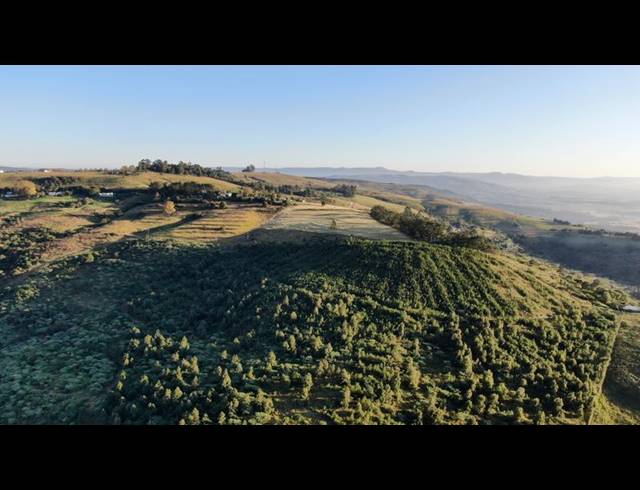 LAND FOR SALE IN MOUNT VERDE